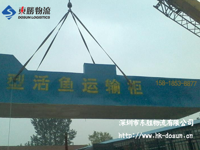 物流活體魚(yú)要注意哪些事項(xiàng)？該怎么運(yùn)輸？深圳到香港物流,香港深圳貨運(yùn)運(yùn)輸,深圳香港進(jìn)出口,深港物流專線,中港物流,東勝物流集團(tuán)-大件物流到香港