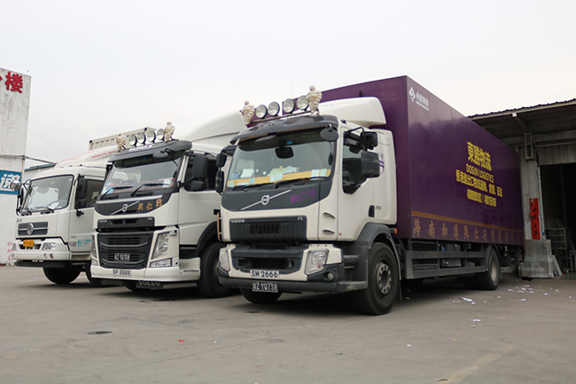 活物運輸謹(jǐn)記這5項，讓你的生意越做越火！--深圳市東勝物流；深圳到香港物流,香港深圳貨運運輸,深圳香港進出口,深港物流專線,中港物流,東勝物流集團