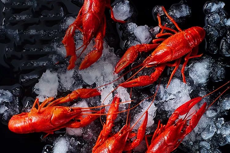 怎樣提高小龍蝦長(zhǎng)途運(yùn)輸中的成活率？深圳到香港物流,香港物流專(zhuān)線,深圳香港進(jìn)出口,中港物流,香港深圳貨運(yùn)運(yùn)輸-深圳市東勝物流有限公司