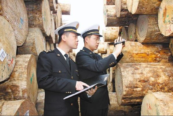 名貴木材進口報關案例；深圳到香港物流,深圳東勝物流有限公司